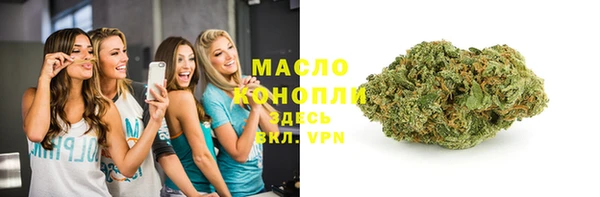 тгк Абаза