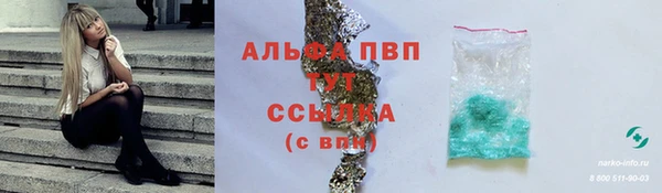 тгк Абаза