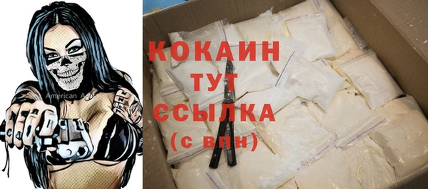 тгк Абаза