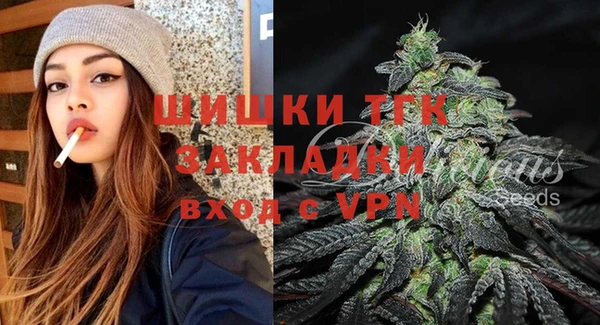 сатива Абинск